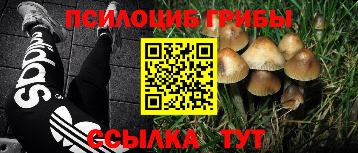 Луховицы  Псилоцибиновые грибы мицелий  Вход с VPN 